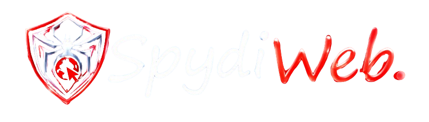 Spydiweb | Software Company in Dhanbad